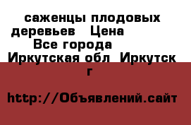 саженцы плодовых деревьев › Цена ­ 6 080 - Все города  »    . Иркутская обл.,Иркутск г.